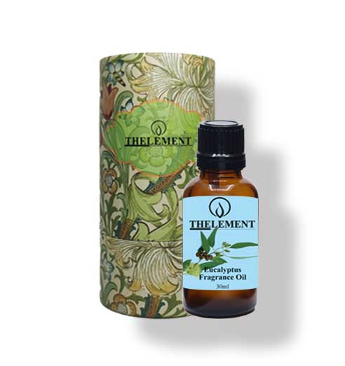 Eucalyptus Fragrance Oil - 30ml