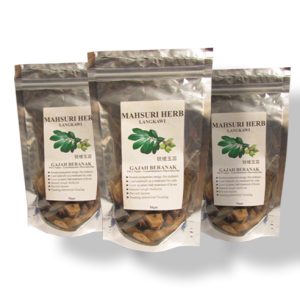 Gajah Beranak - 50GM