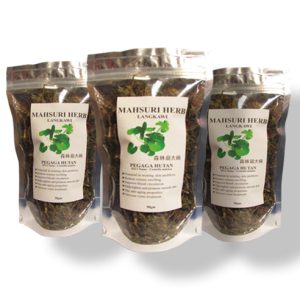 Pegaga Hutan - 50GM